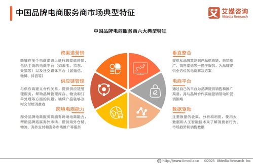 2023年中國品牌電商服務商行業 需求增長與咨詢服務發展展望